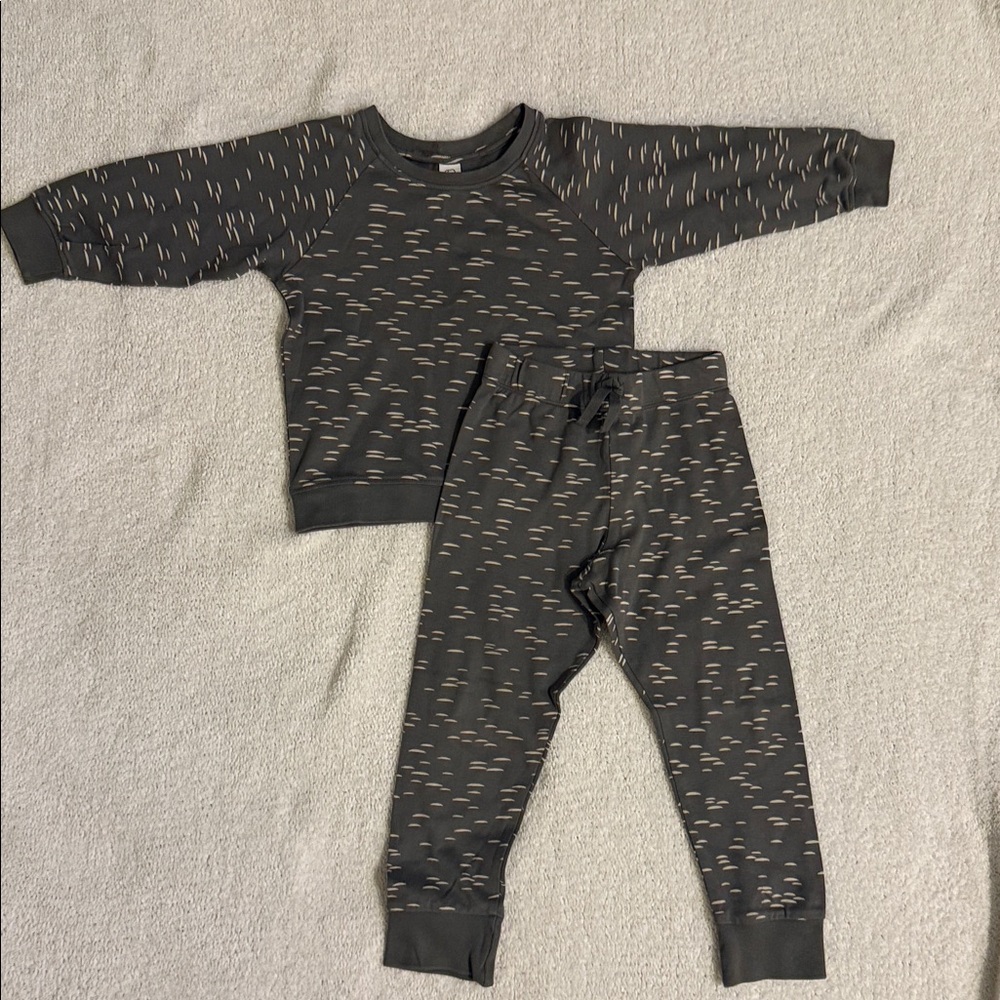 Colored Organics Kids Long Sleeve Set